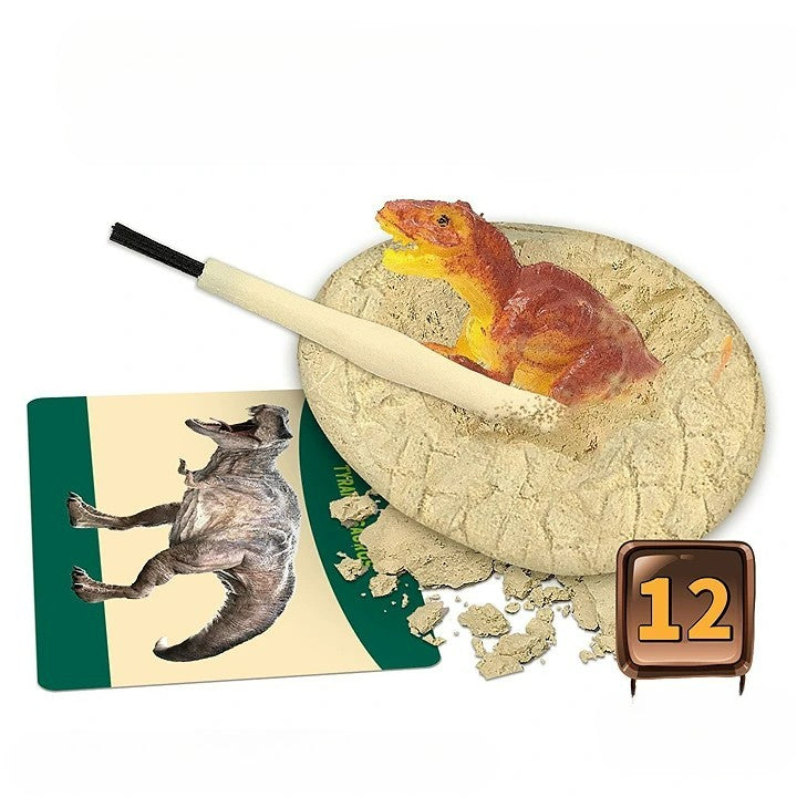 Dinosaur Egg Excavation Dig Kit