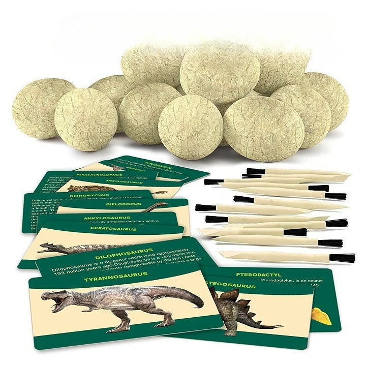 Dinosaur Egg Excavation Dig Kit