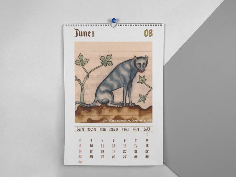 Weird Medieval Cats Calendar 2024