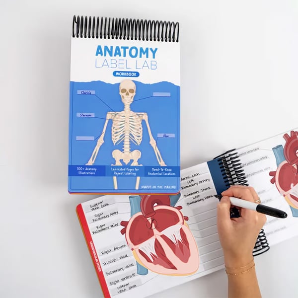 Anatomy Label Lab Workbook