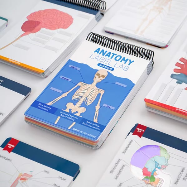 Anatomy Label Lab Workbook