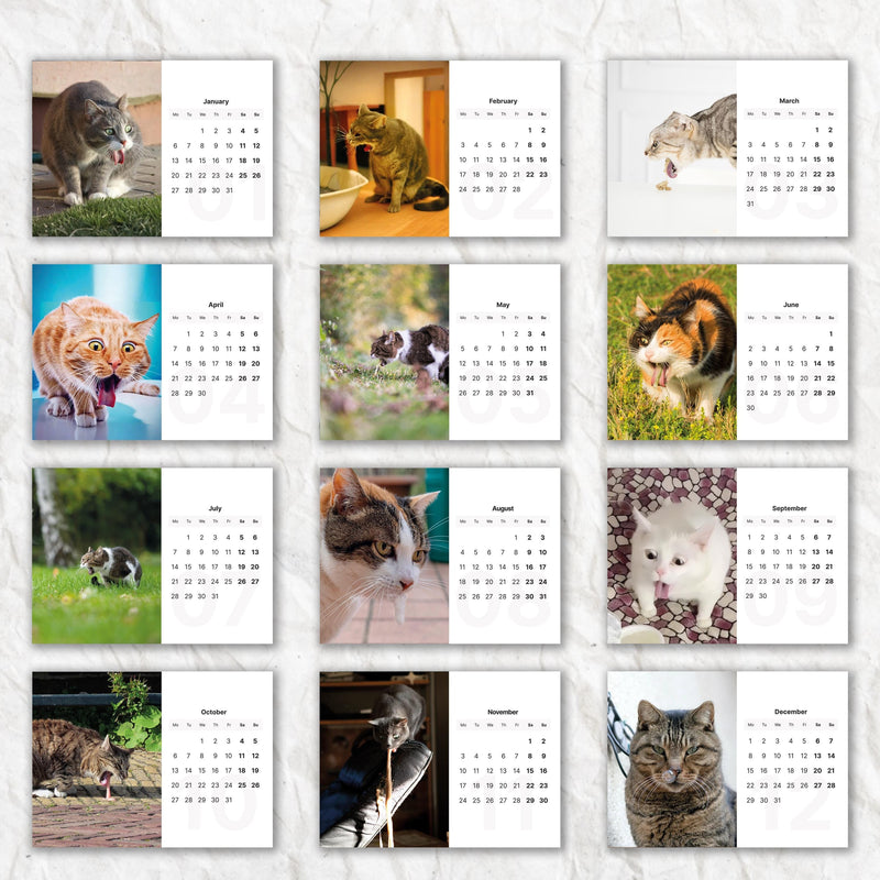 Vomiting Cats 2025 Desk Calendar