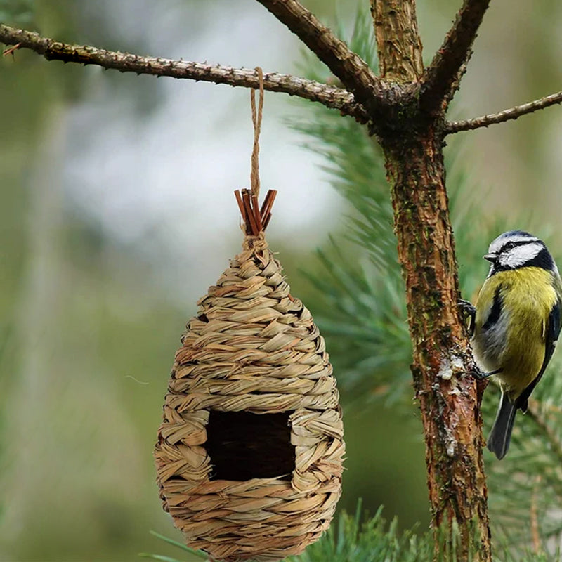 Hummingbird Nest House