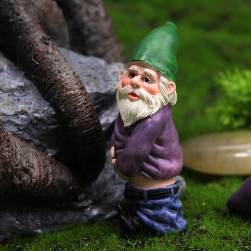 Garden dwarf ornaments