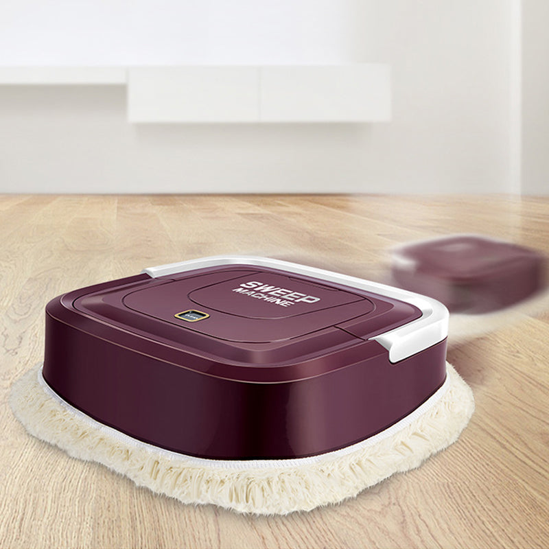 Intelligent Portable Sweeping Robot