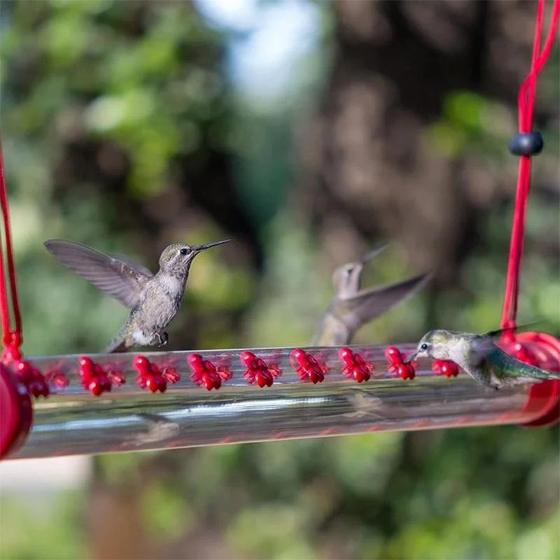 Hanging Hummingbird Feeder