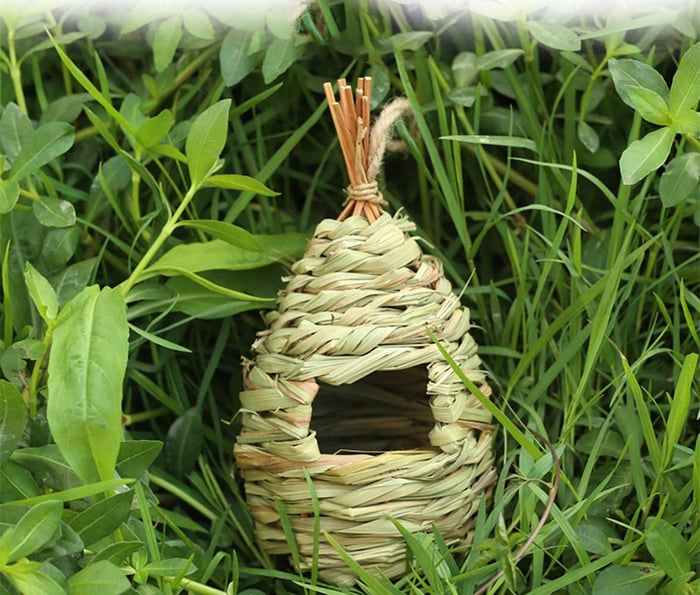 Hummingbird Nest House