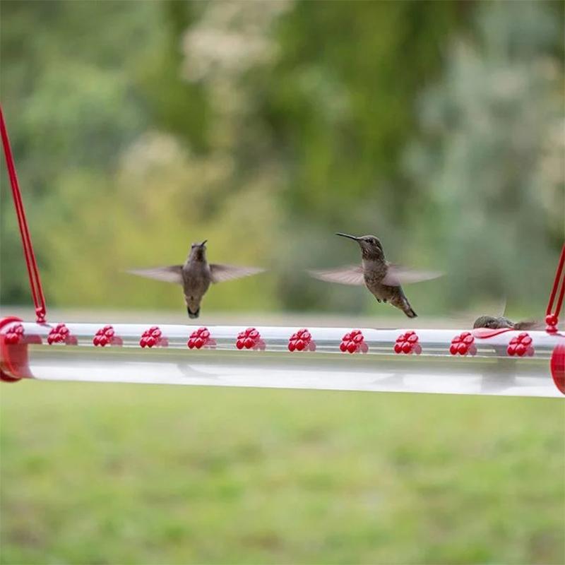 Hanging Hummingbird Feeder