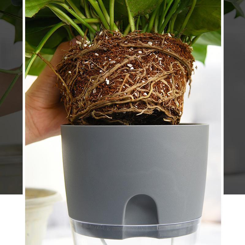 Self-watering Hydroponic Flowerpot