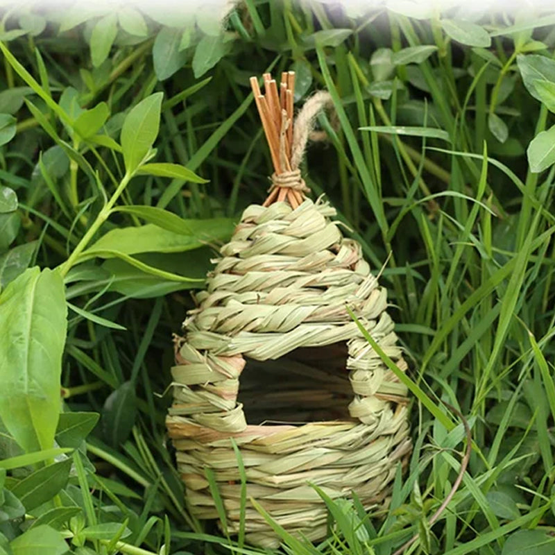 Hummingbird Nest House