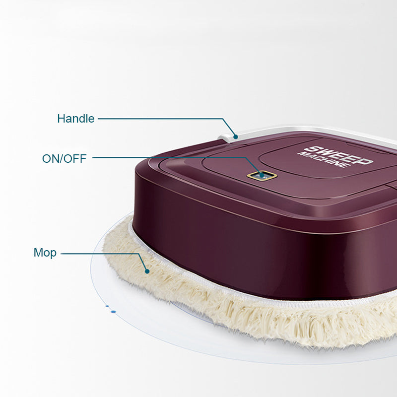 Intelligent Portable Sweeping Robot