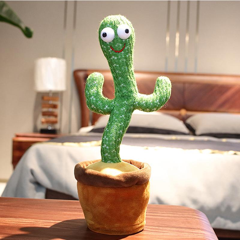 Dancing Cactus