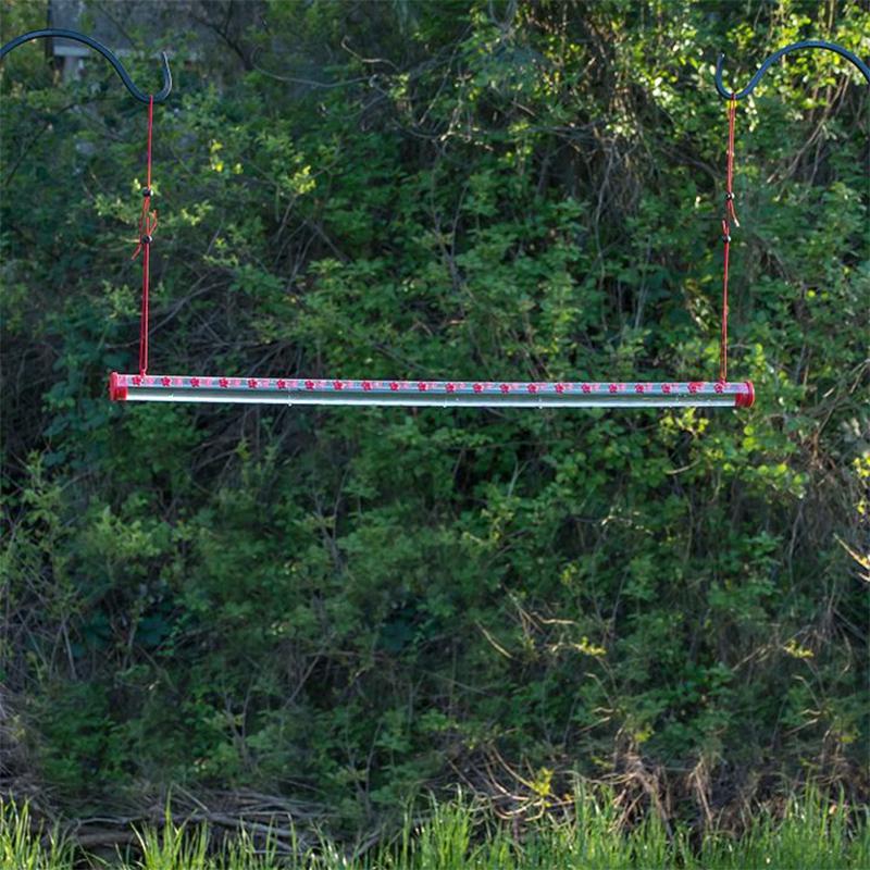 Hanging Hummingbird Feeder