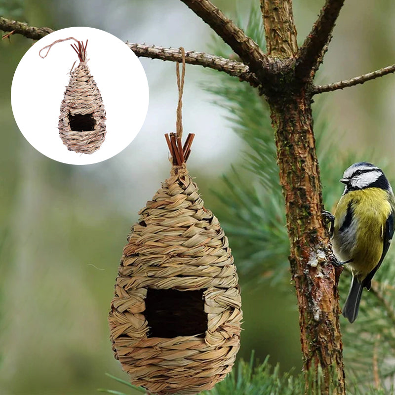 Hummingbird Nest House