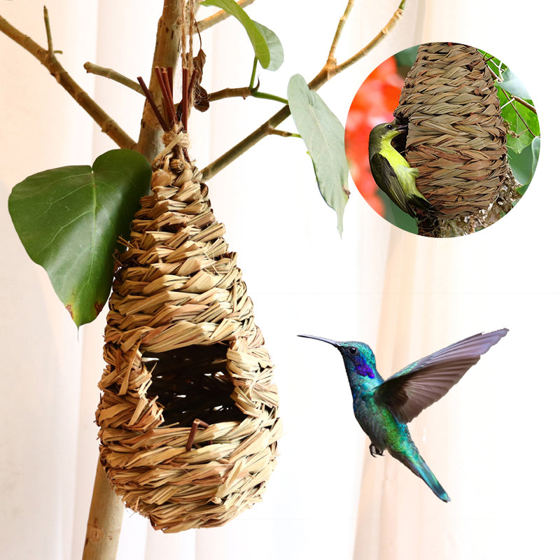 Hummingbird Nest House