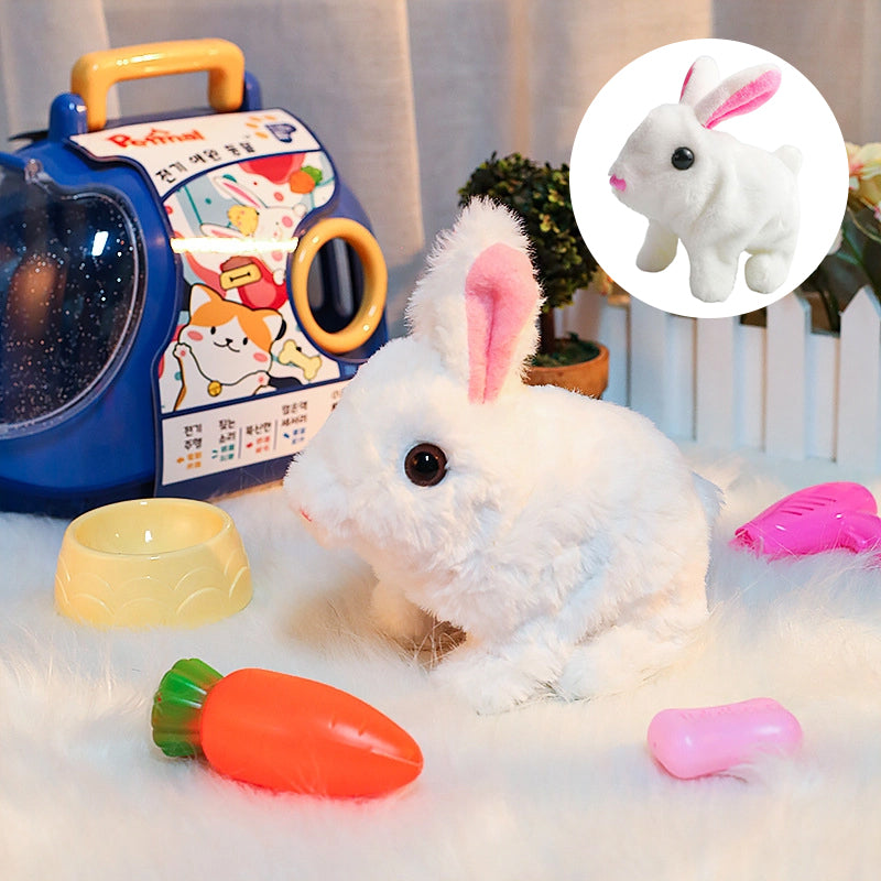 Bunny Toys Educational Interactive Toys