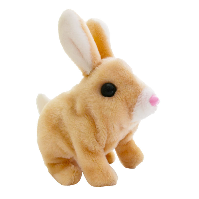 Bunny Toys Educational Interactive Toys