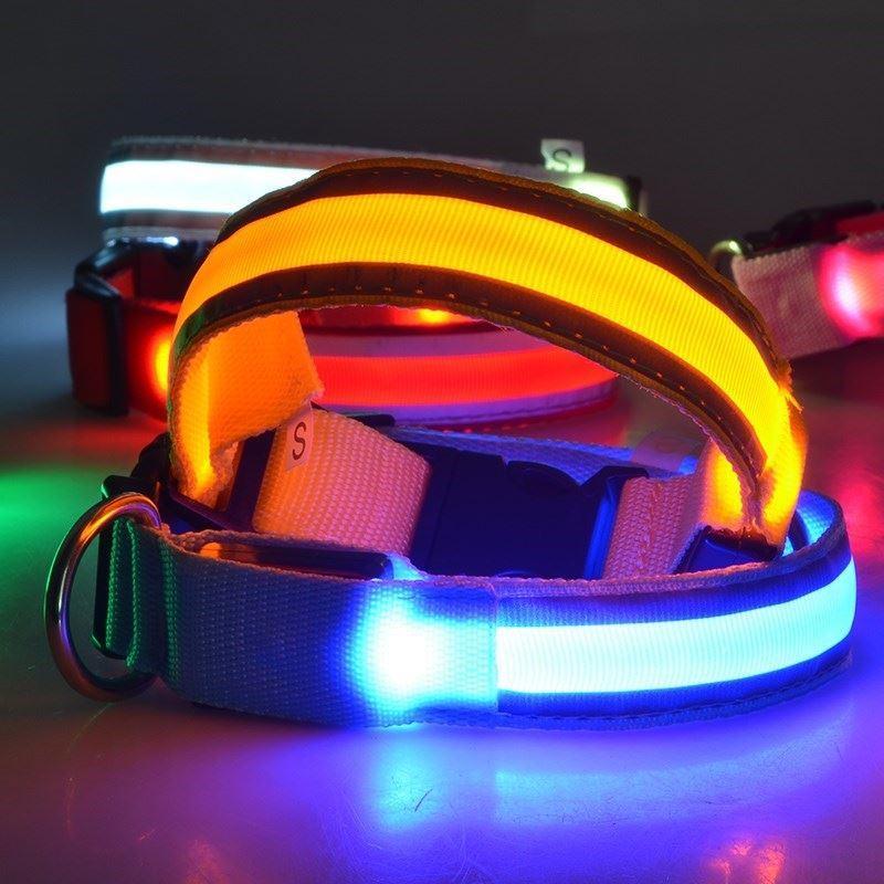 LED Pet Collar