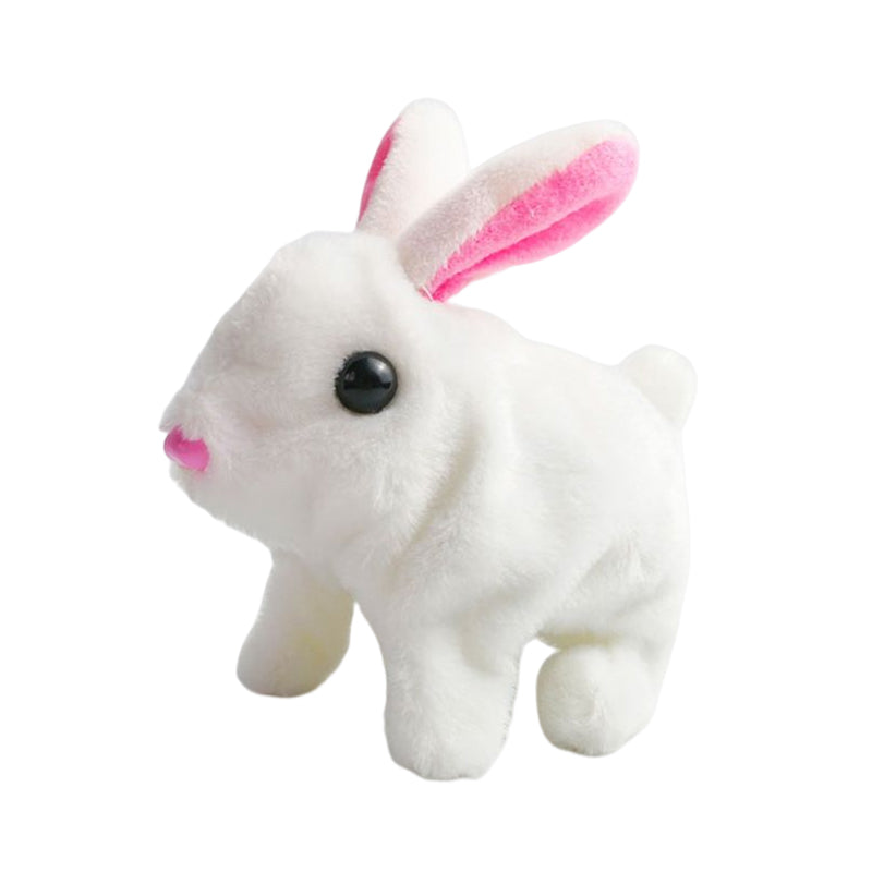 Bunny Toys Educational Interactive Toys